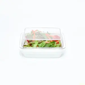 7181.47 EURO-Systemdeckel - rechteckig - - 120 x 90 mm - glasklar - Polycarbonat (PC)