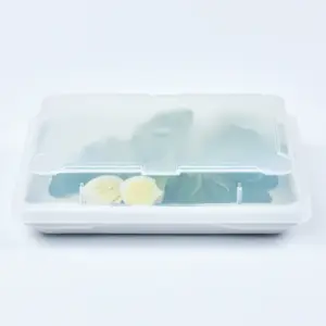 7785.01 EURO-Systemdeckel - rechteckig -  - 195 x 133 mm - natur-transparent - Polypropylen (PP)